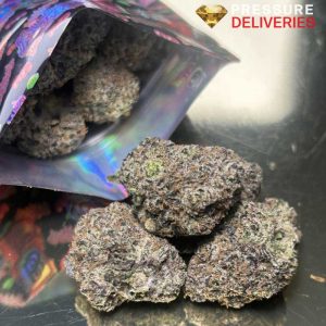 Butterscotch Biscotti (Indica)