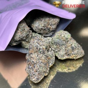 Pink Stardust (Hybrid)