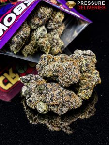 Black Panda (Sativa)