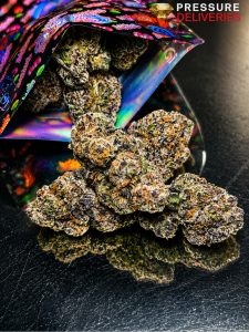 Blackberry Haze (Sativa)