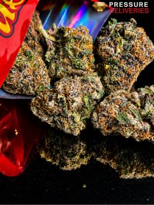 Cherry Koolaid (Hybrid)