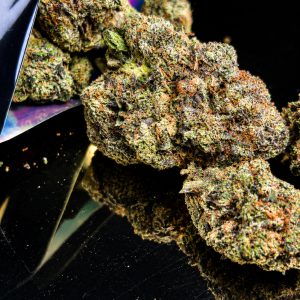 Crystal Light (Hybrid)
