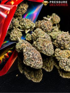 Fruit Tooties (Indica)
