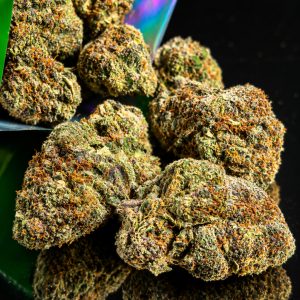 Jungle Fever (Indica)
