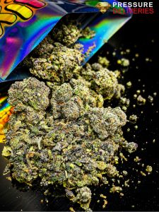Shake (Hybrid)